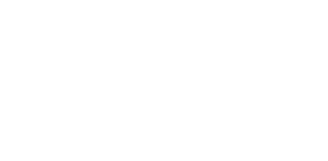 Skandinavisk Vagtselskab ApS